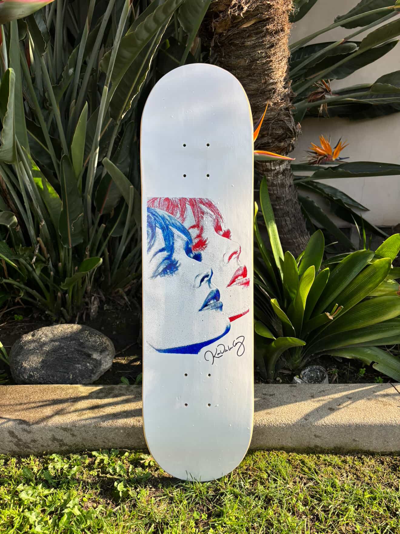 Paradox 8.0" Skateboard deck